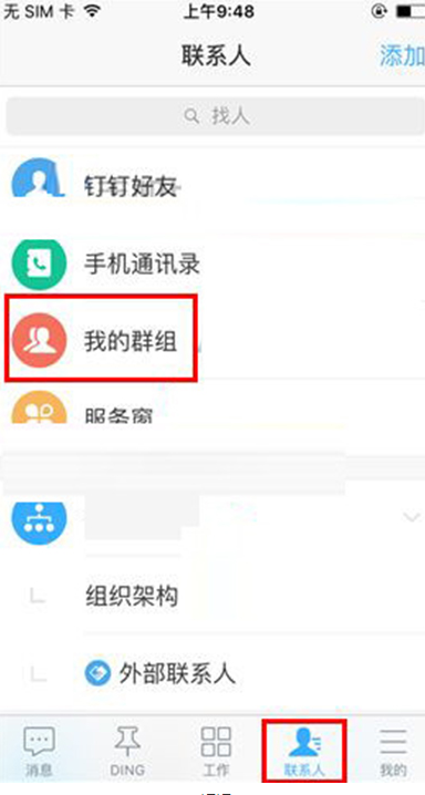 怀孕的流浪猫爬28楼