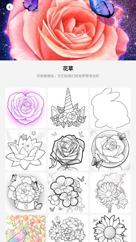 陈楚生太湖湾音乐节
